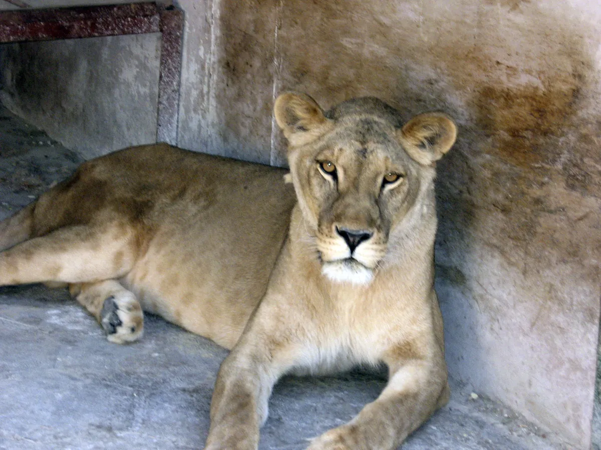 Blagoevgrad Zoo