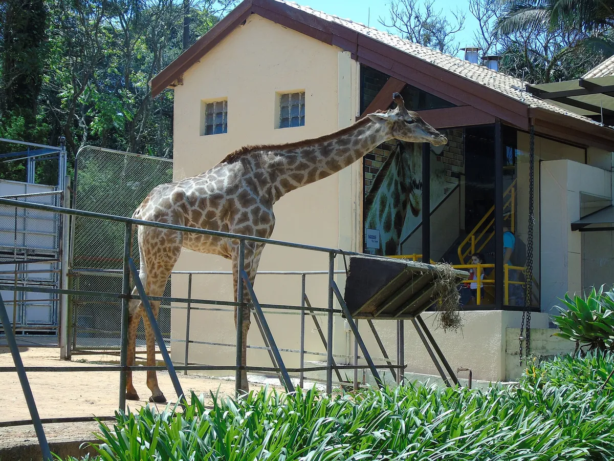 São Paulo Zoo