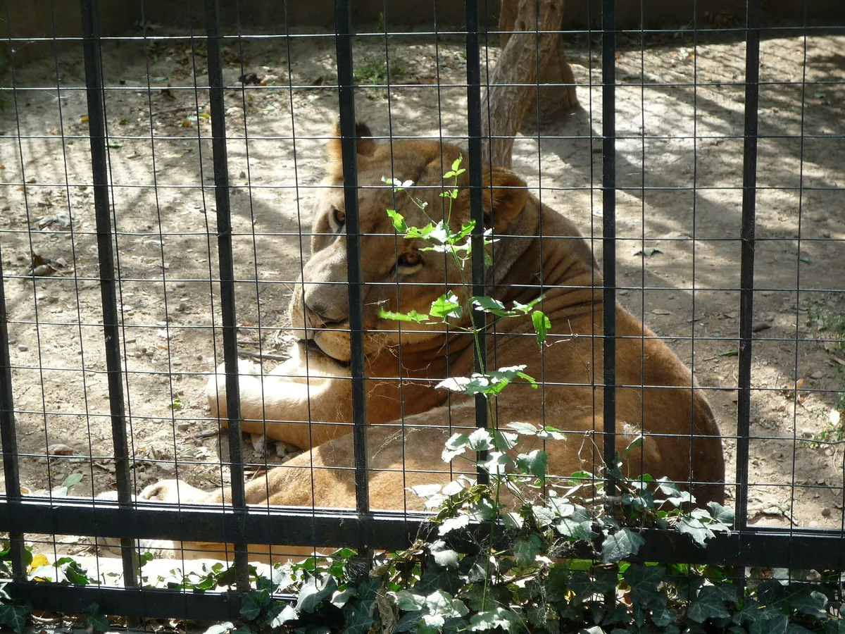 Lovech Zoo
