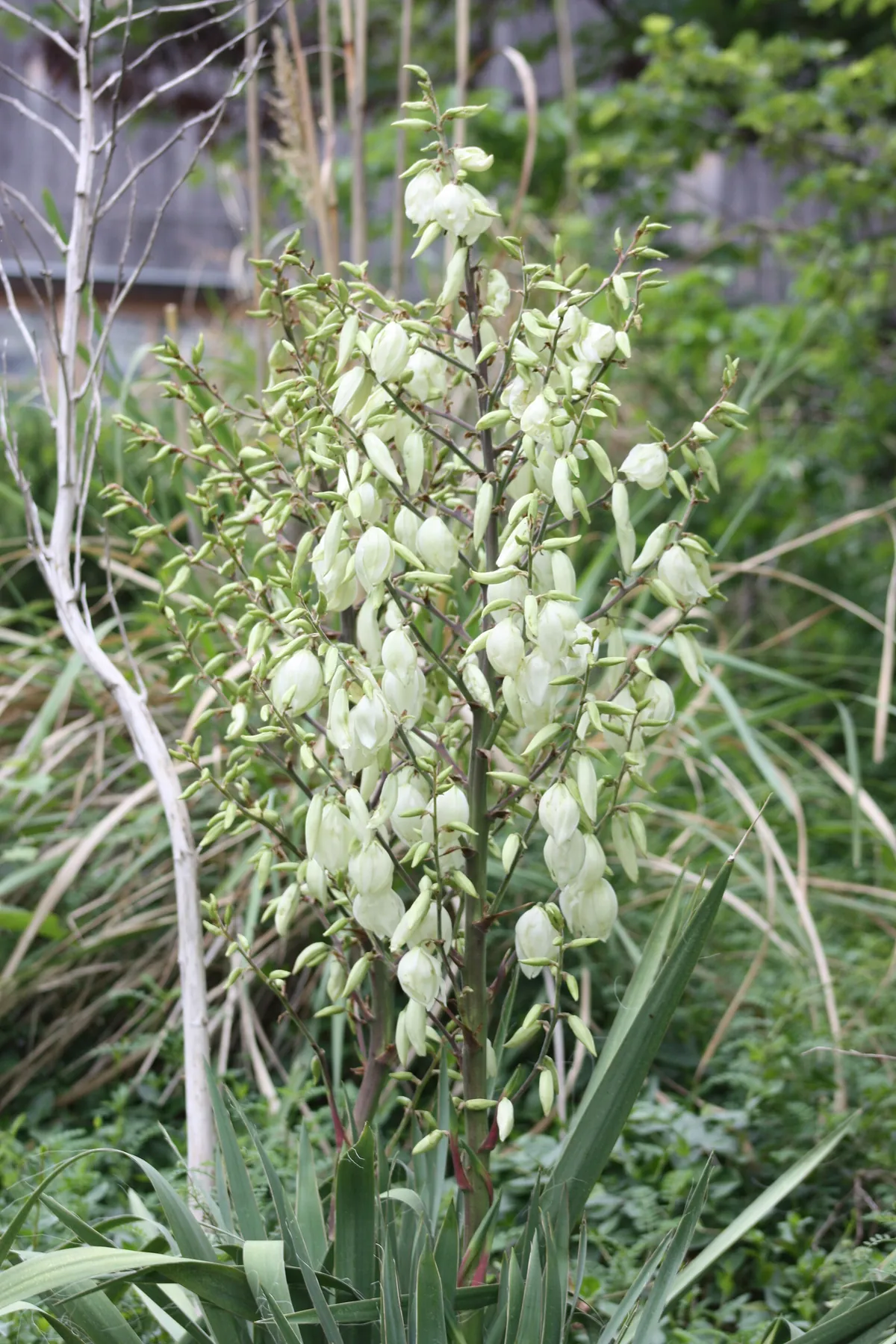 Oklahoma City Zoo and Botanical Garden