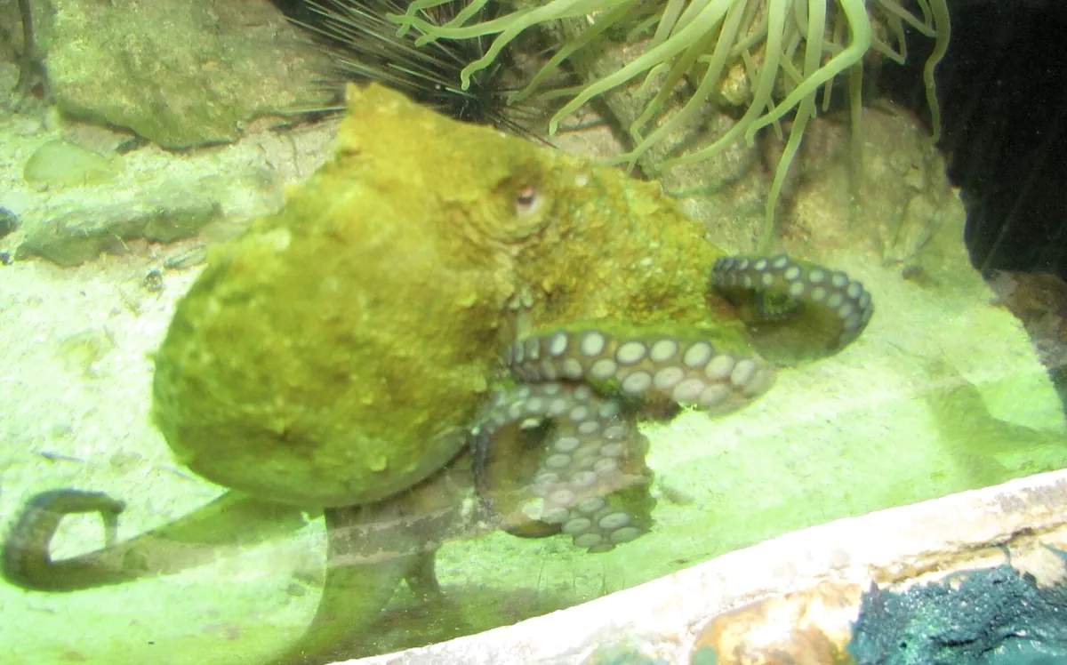 Key West Aquarium