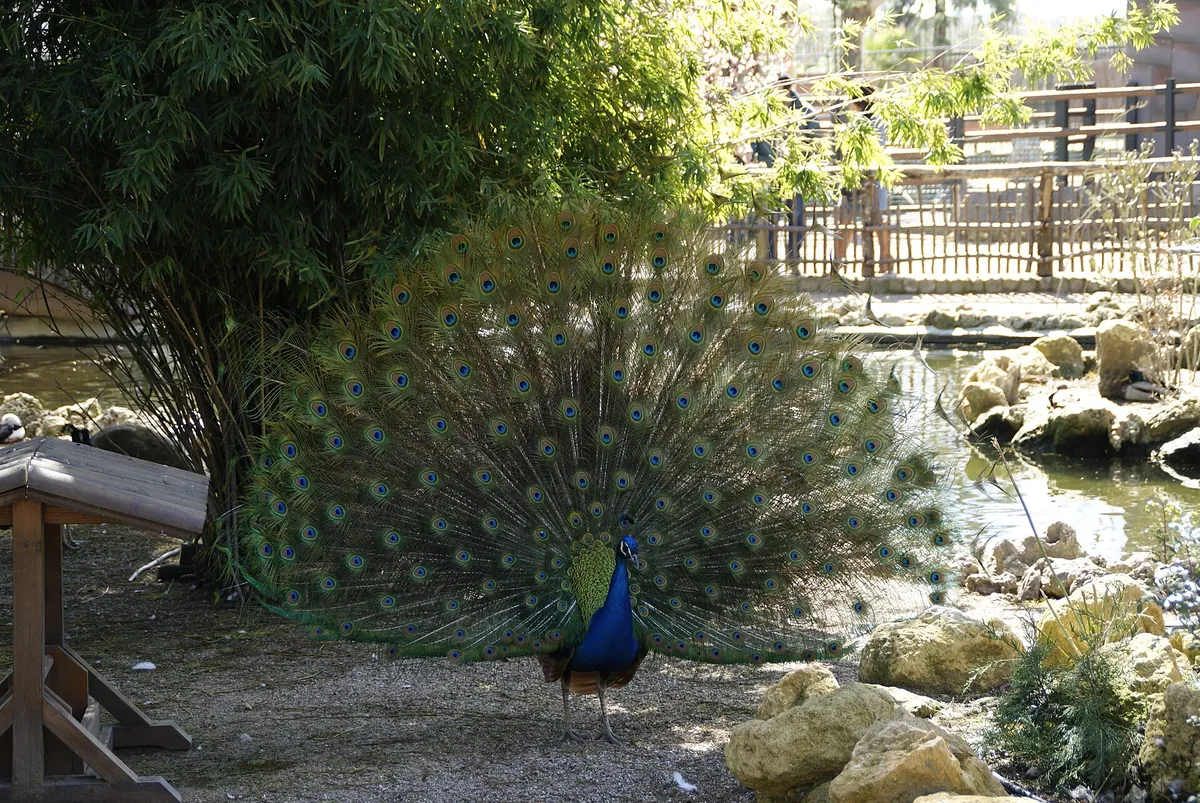 CENTRO DE CONSERVACIÓN ZOO CÓRDOBA