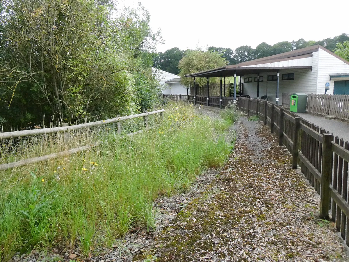 Marwell Zoo