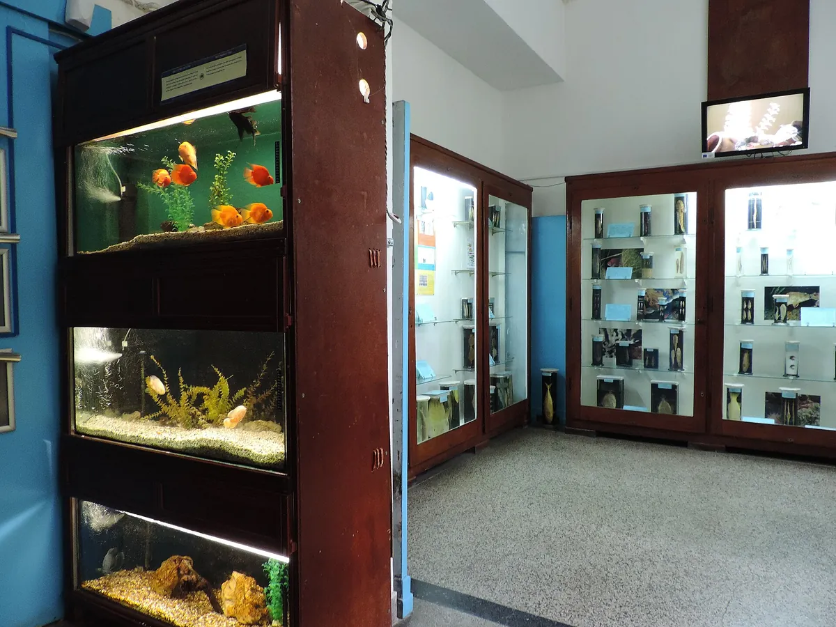 Varna Aquarium
