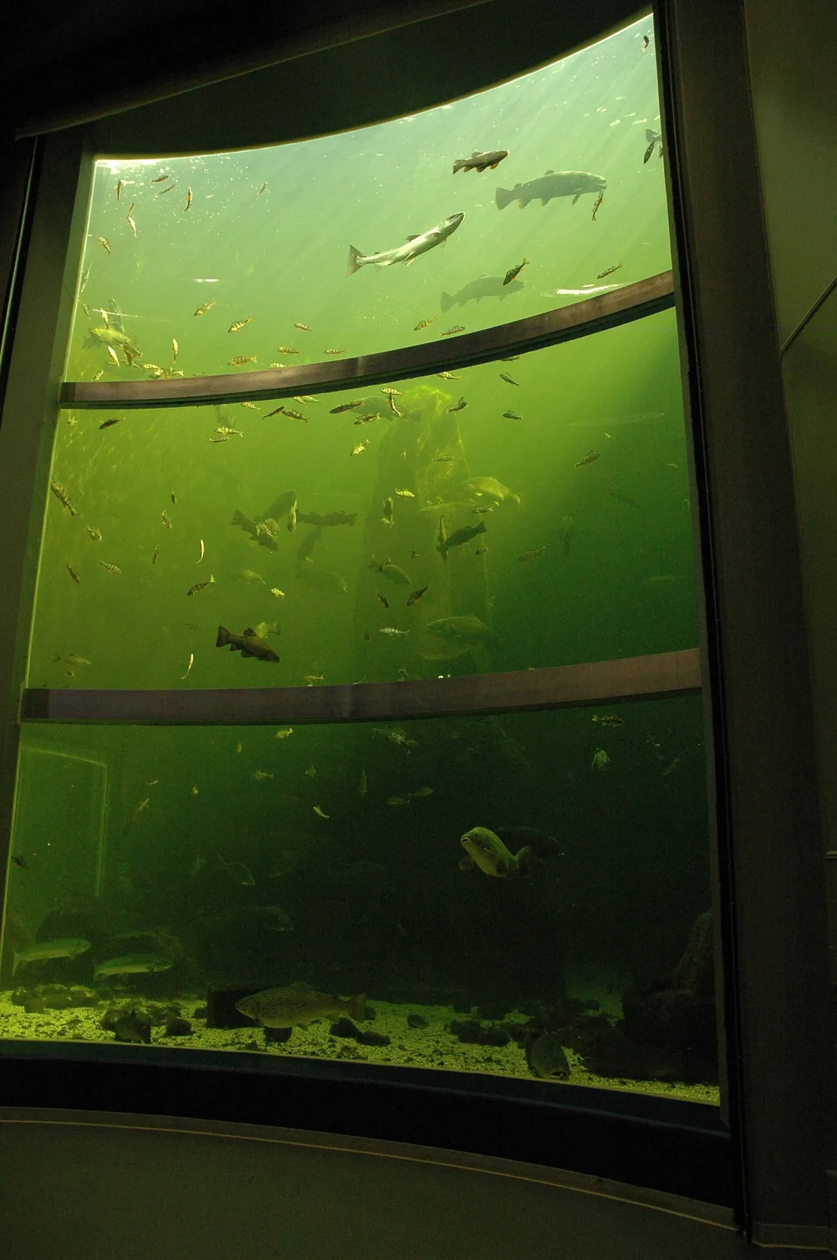 Kotka Maretarium