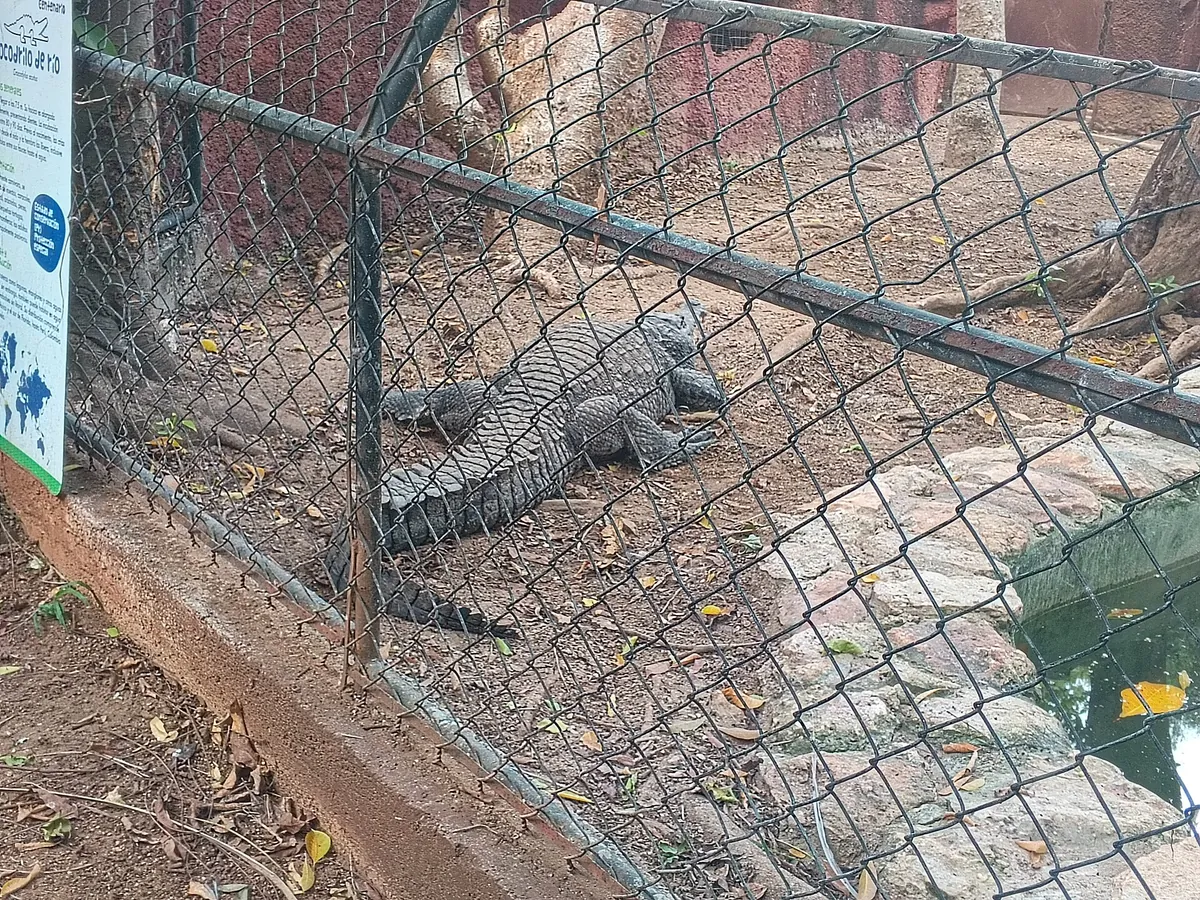 Parque del Centenario