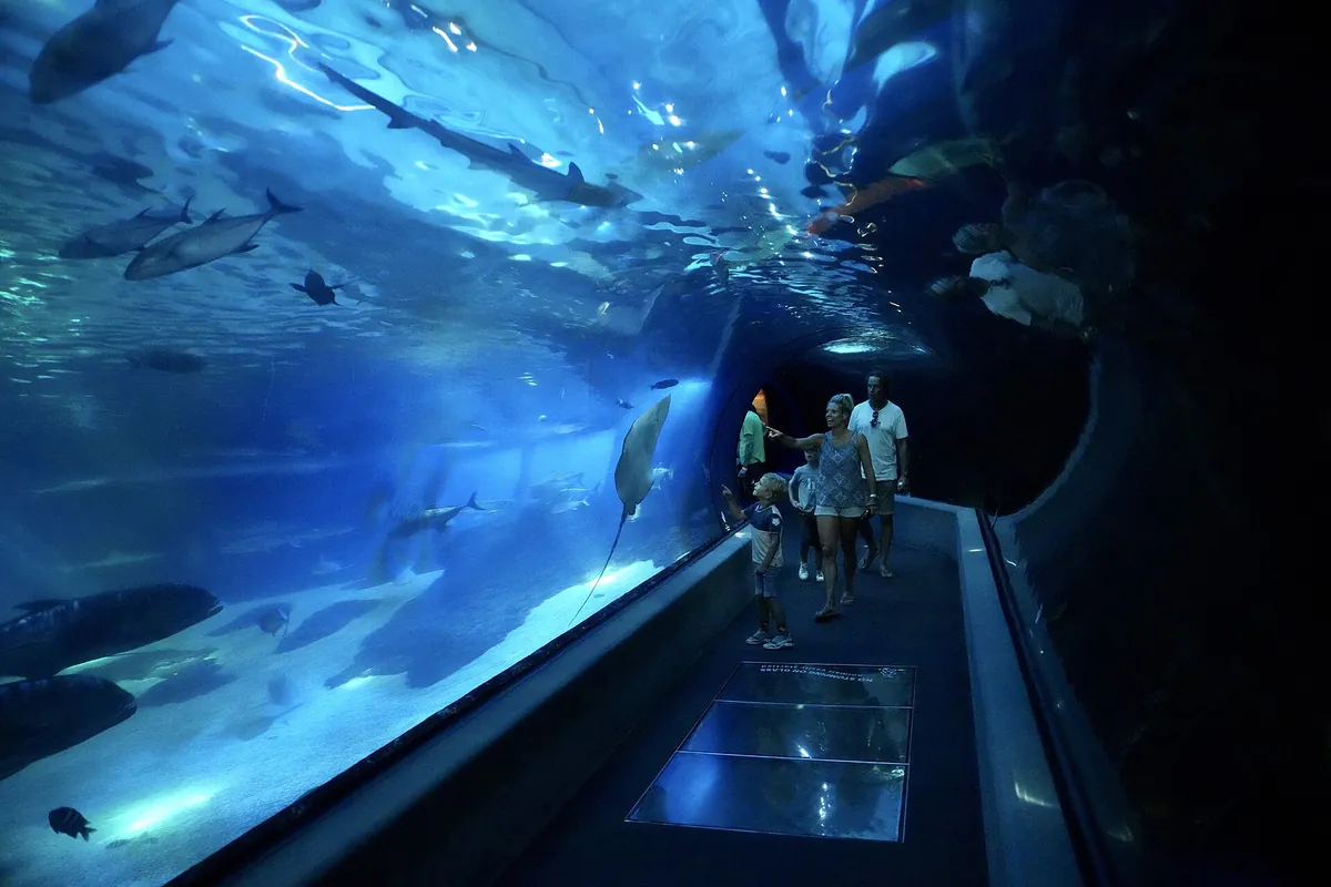 Maui Ocean Center