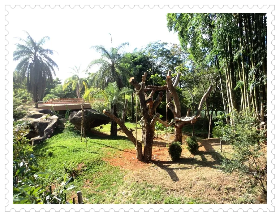 Zoological Garden of Belo Horizonte
