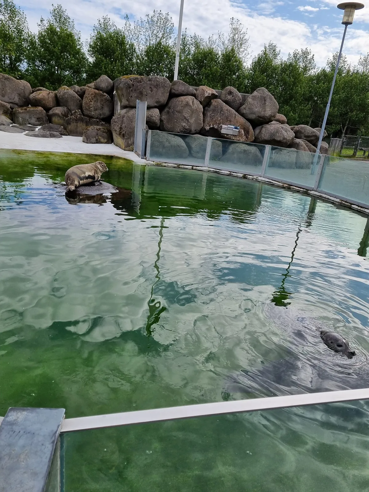 Reykjavík Park and Zoo