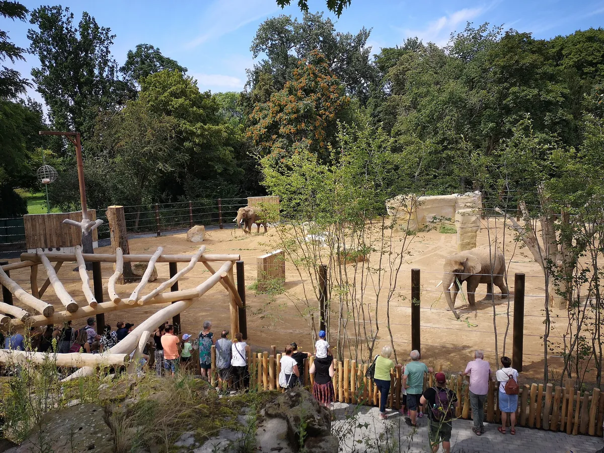 Zoo Dresden