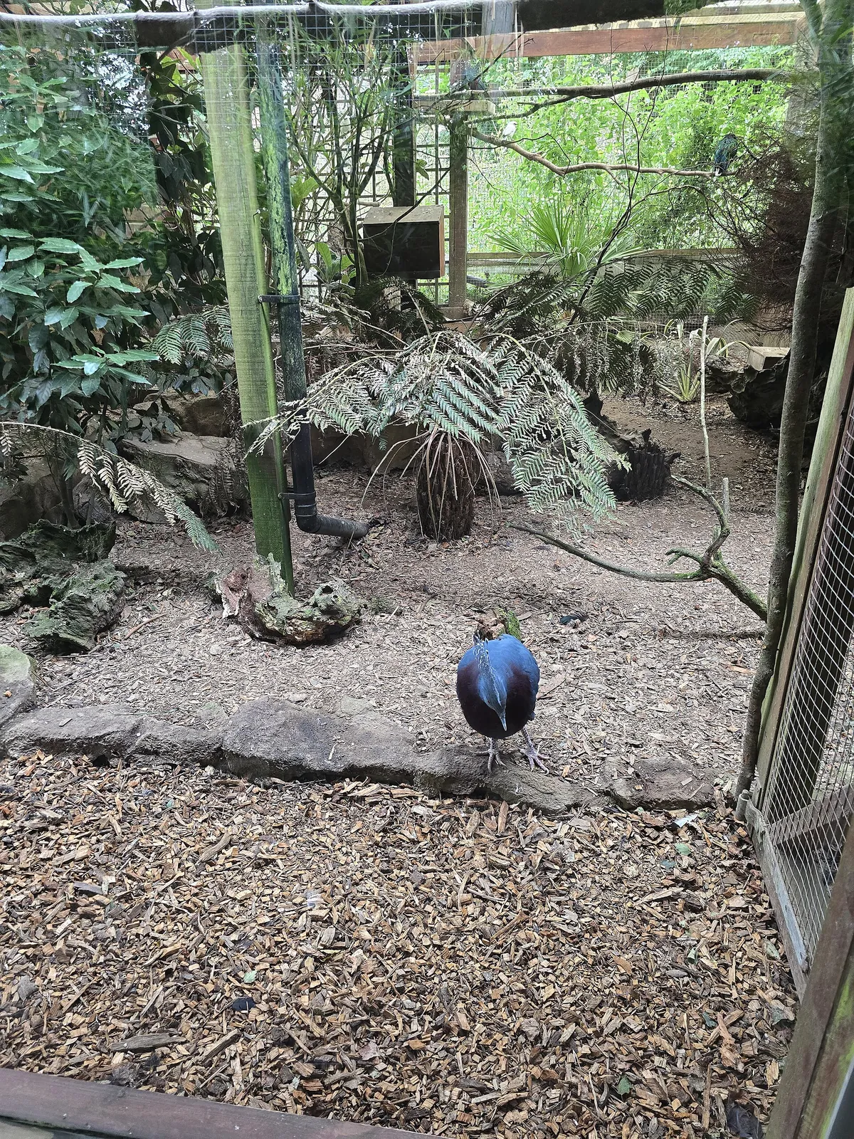 Exmoor Zoological Park