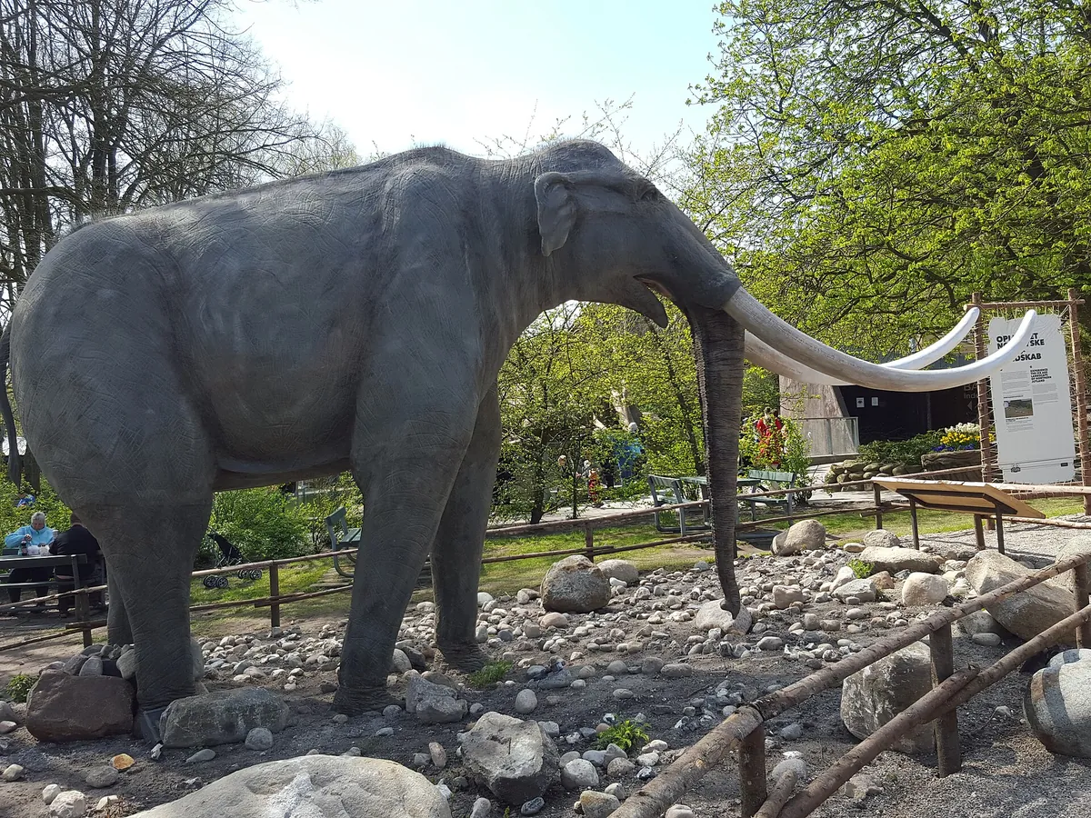 Aalborg Zoo