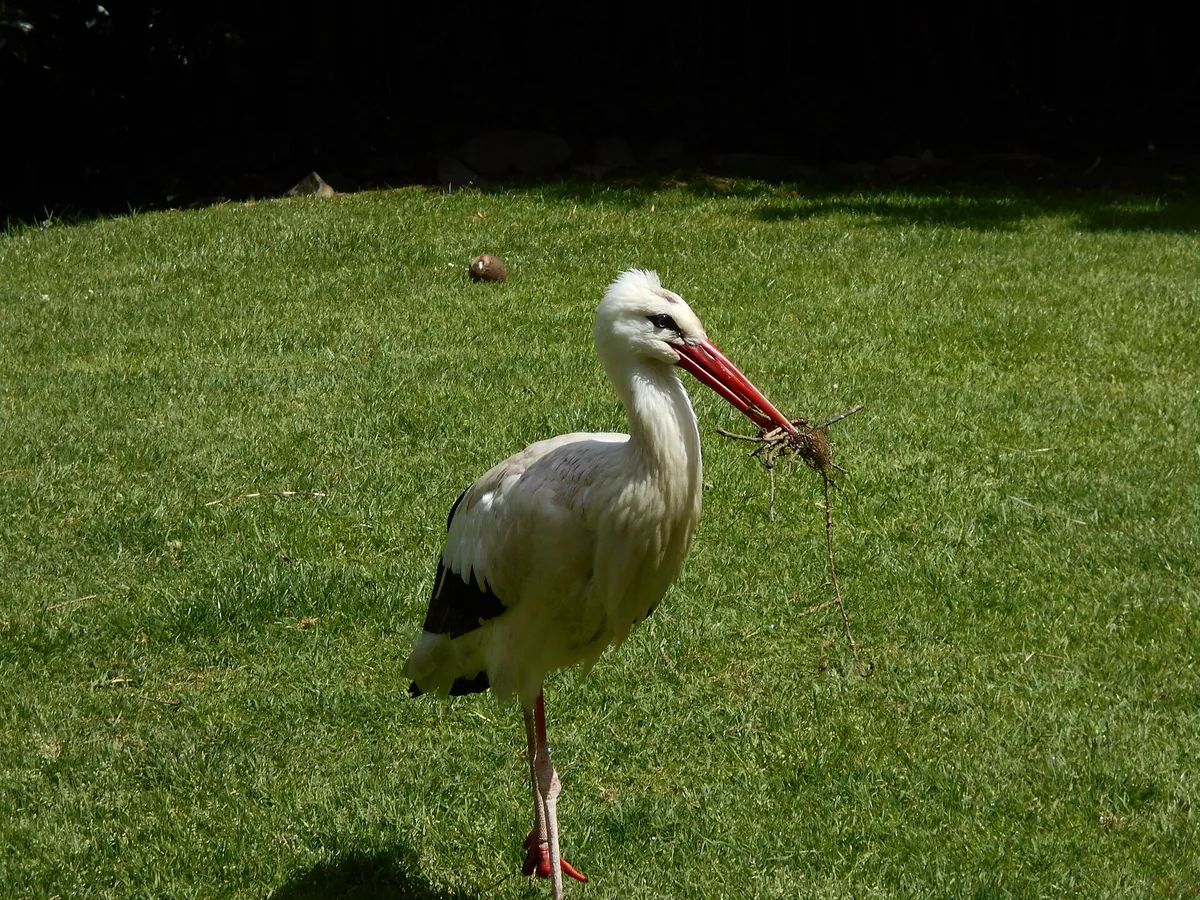 Parc zoologique de Champrepus