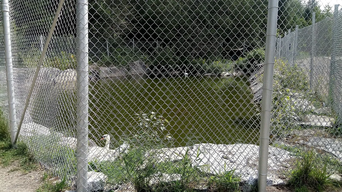 Zoo de Falardeau