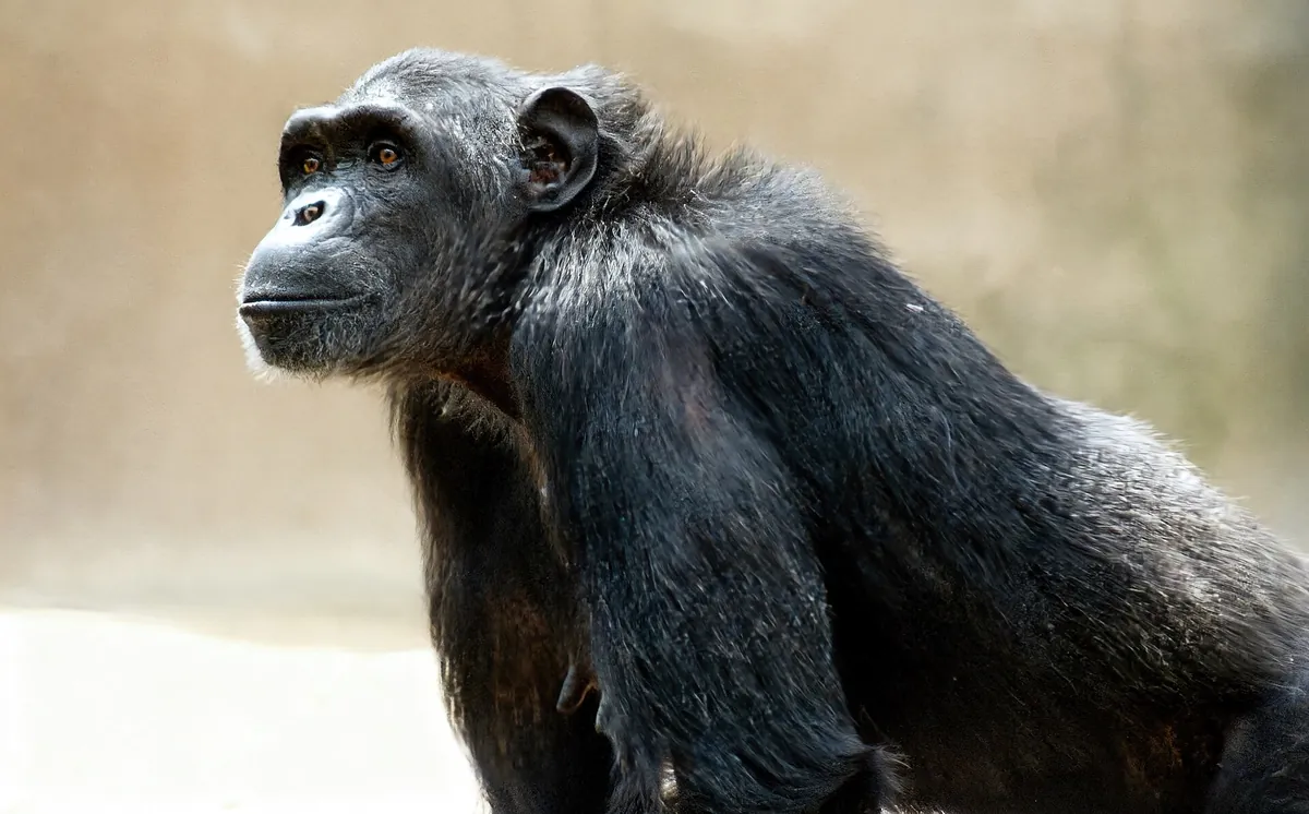 Little Rock Zoological Gardens