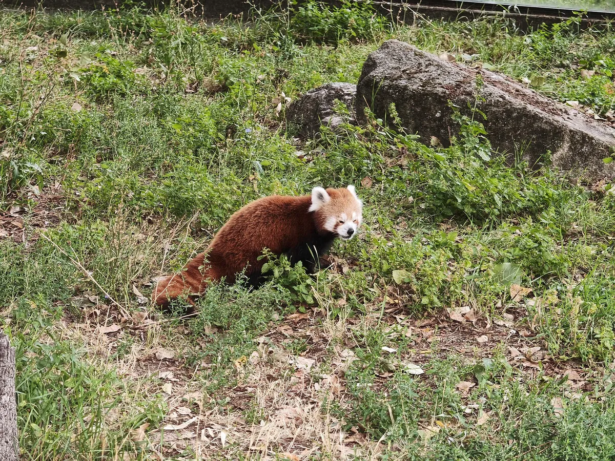 Bratislava Zoo