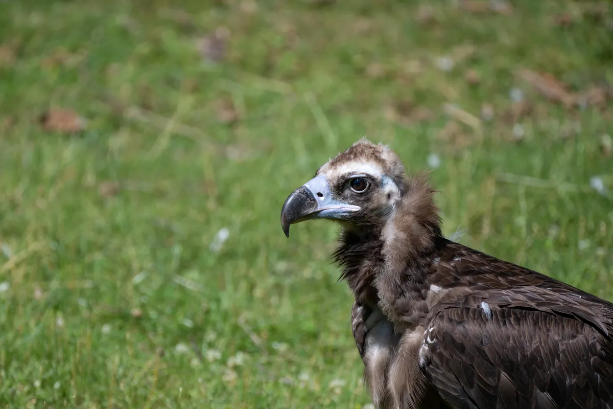 Milwaukee County Zoological Gardens