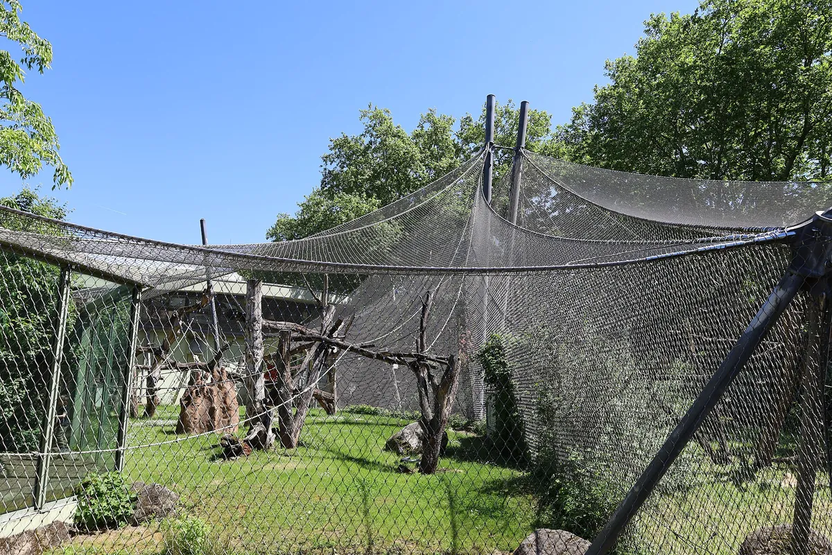 Zoo Frankfurt