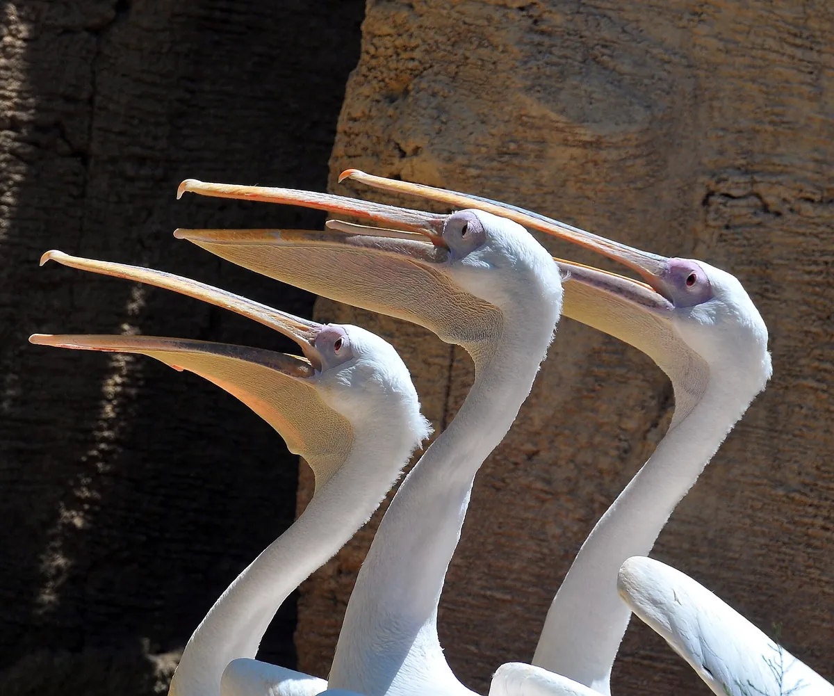 Terra Natura Benidorm