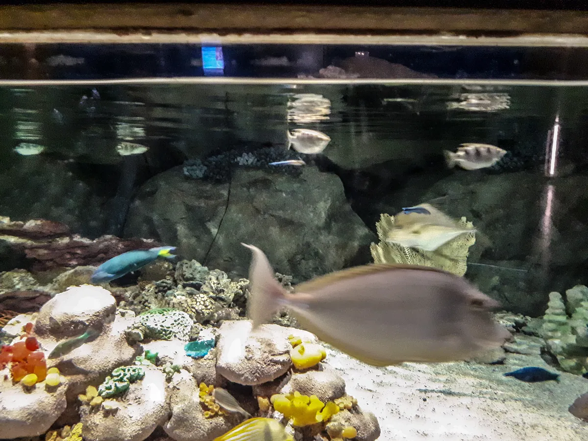 Oceanarium in Saint Petersburg