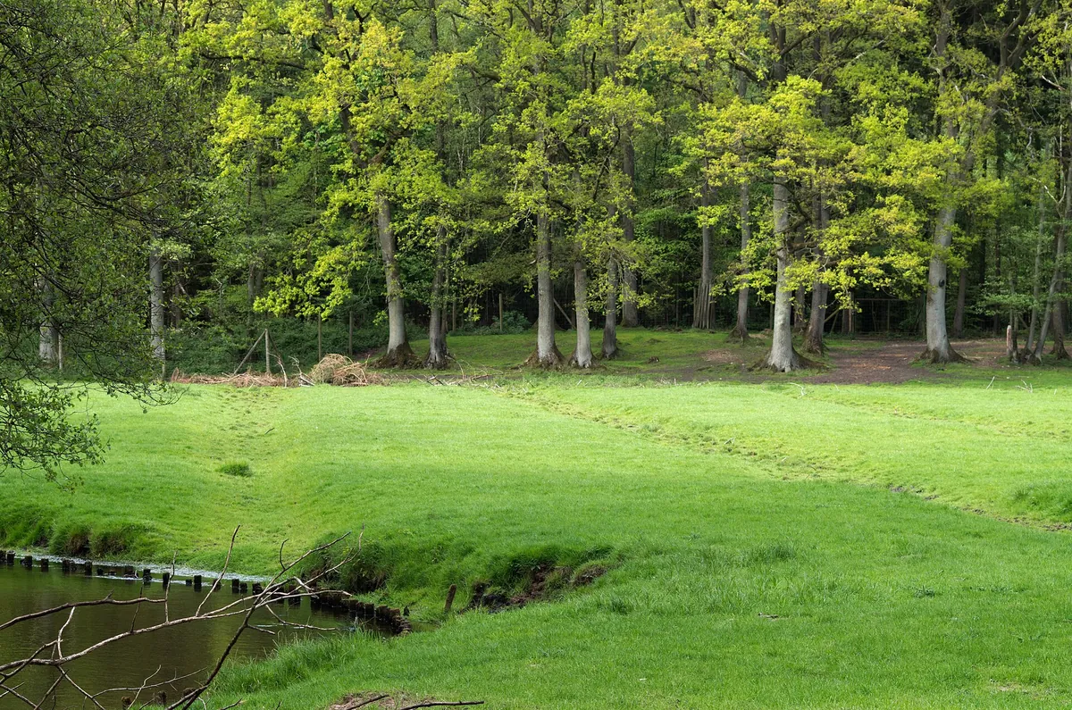 Eekholt Wildlife Park