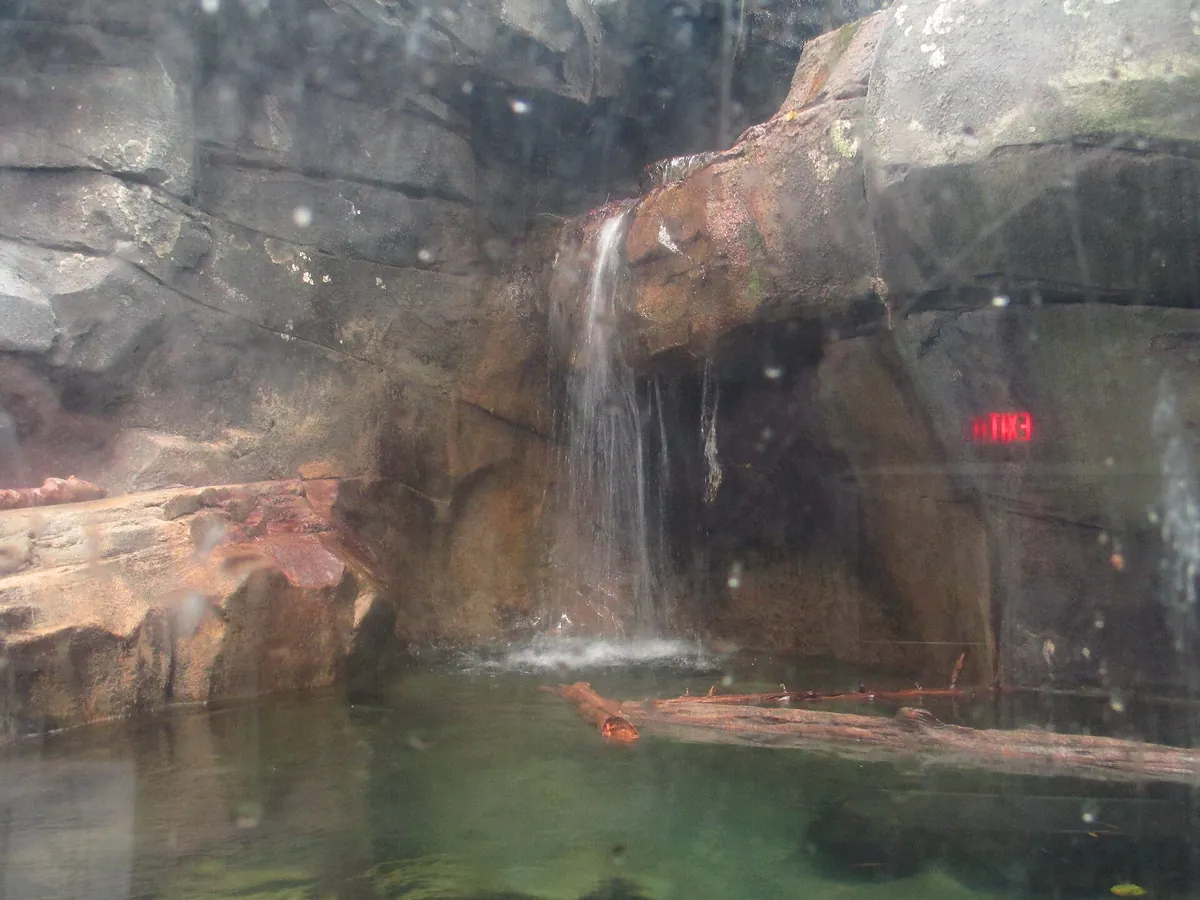 South Carolina Aquarium