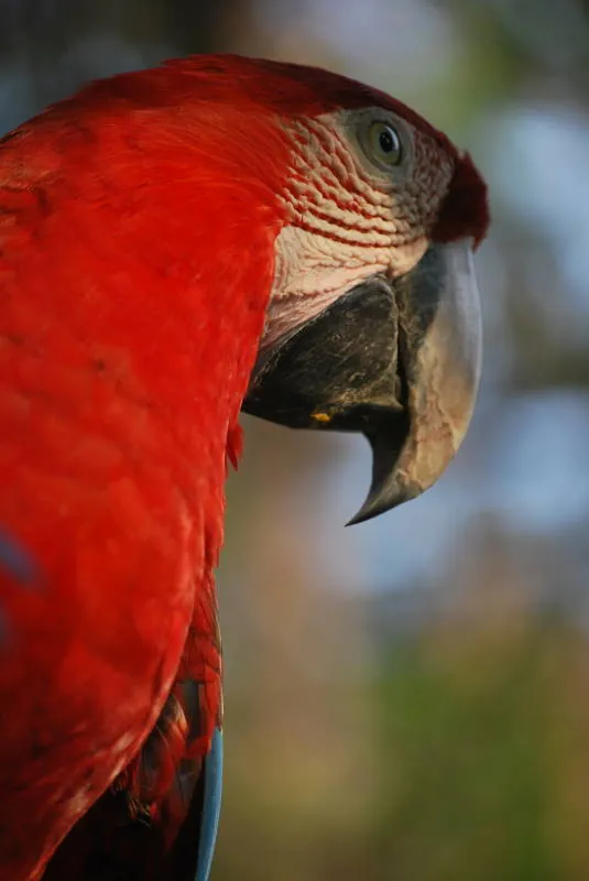 Zoológico El Pantanal