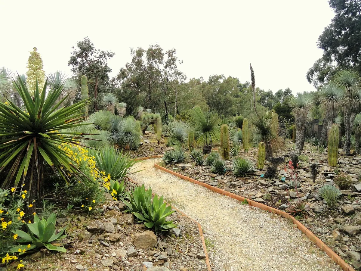 Jardin zoologique tropical