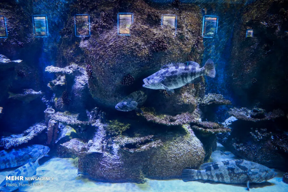 Isfahan Aquarium