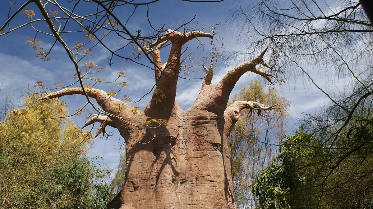 BIOPARC FUENGIROLA