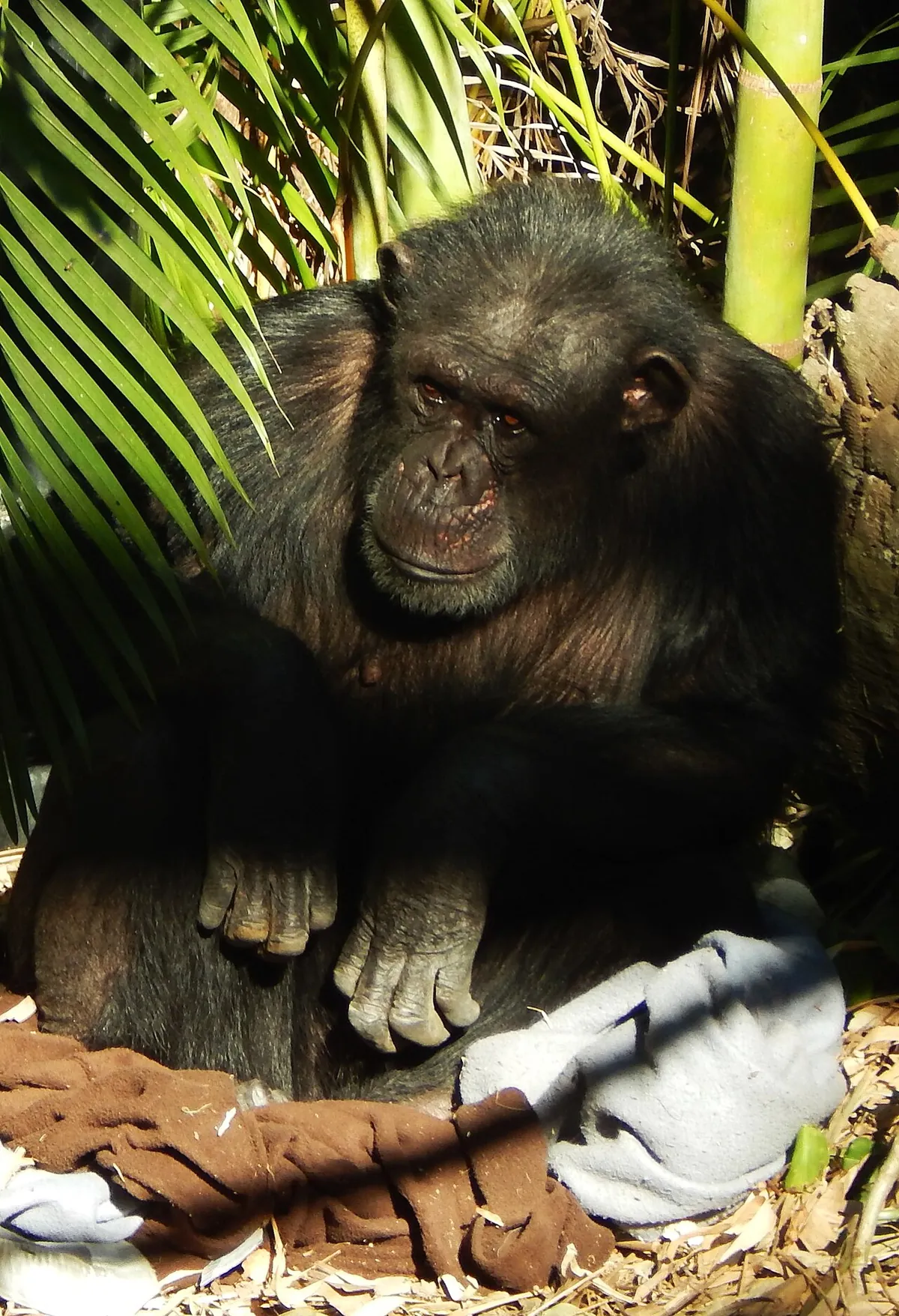 Rockhampton Zoo
