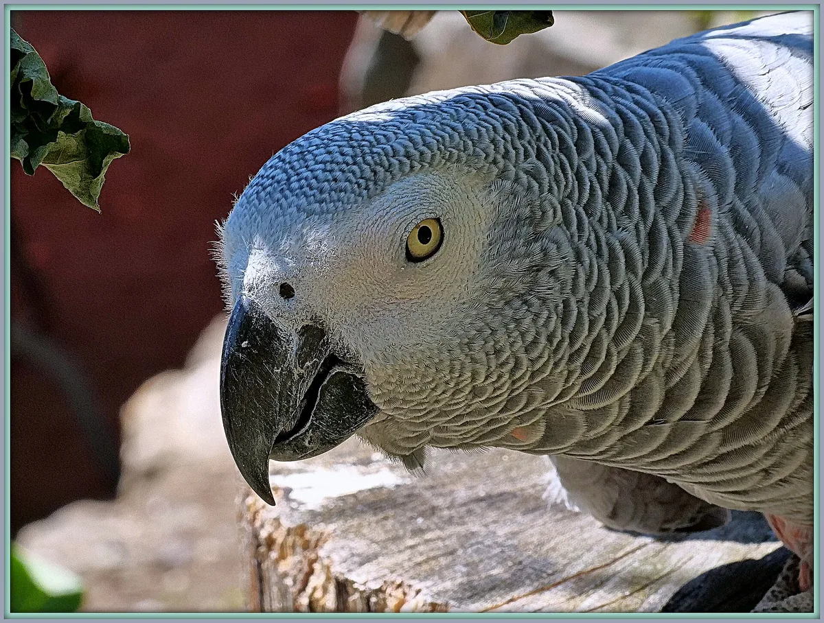 Tierpark Herborn