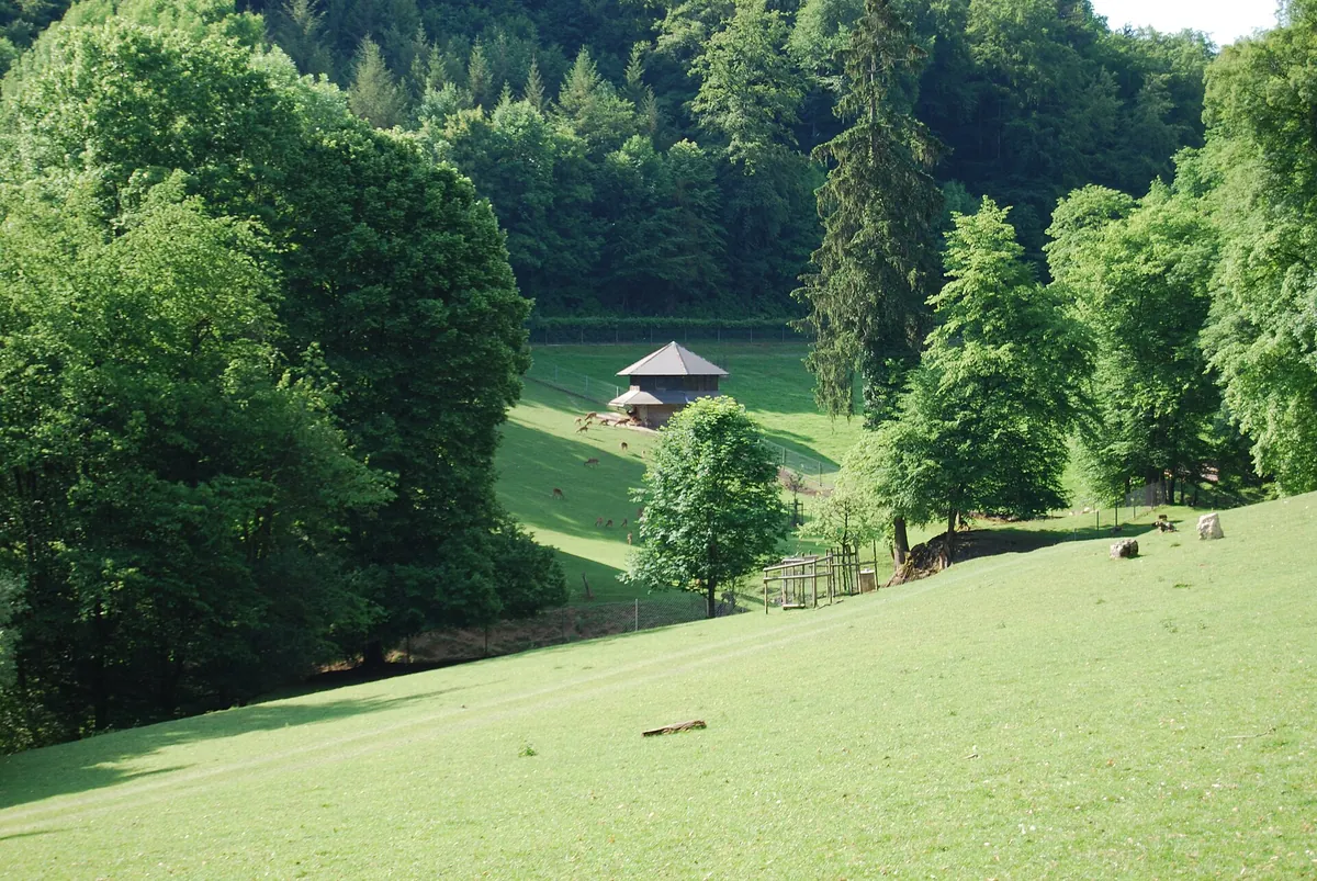 Wildpark Roggenhausen