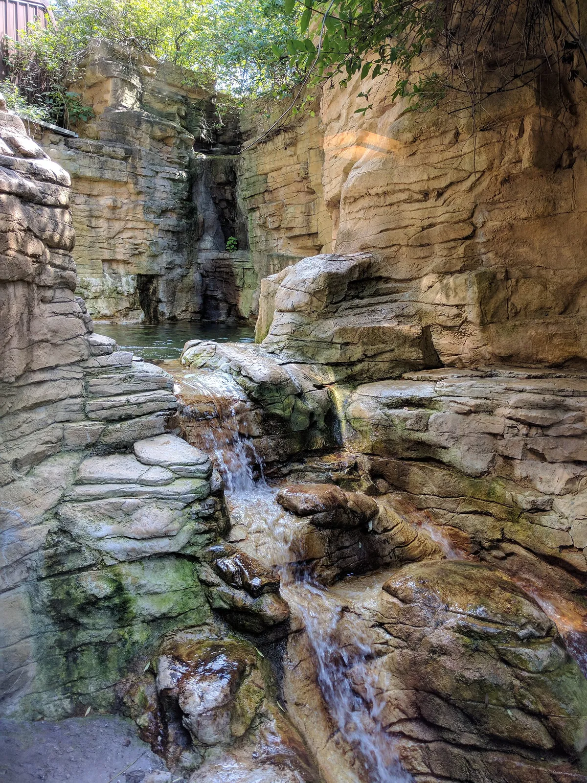Minnesota Zoo