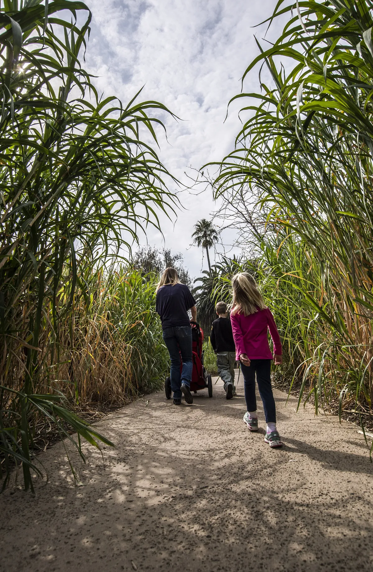 Melbourne Zoo