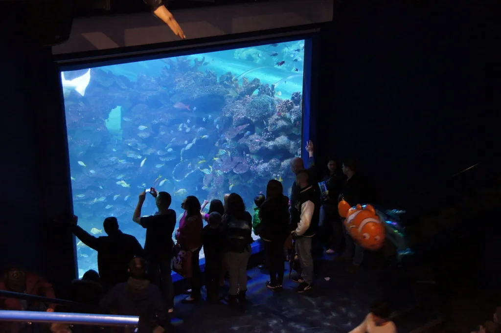 Blue Planet Aquarium