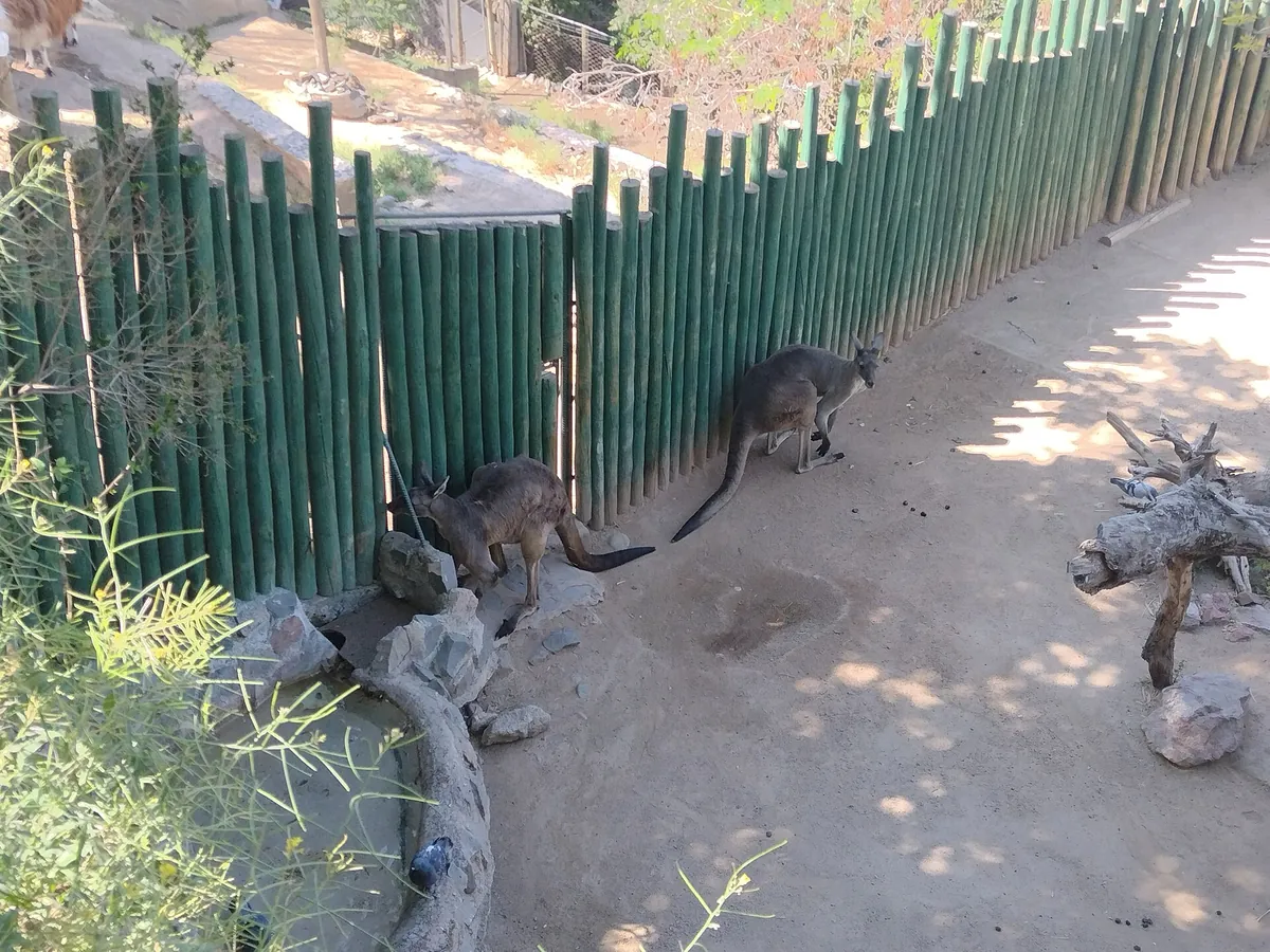 Zoológico Nacional, Parque Metropolitano de Santiago