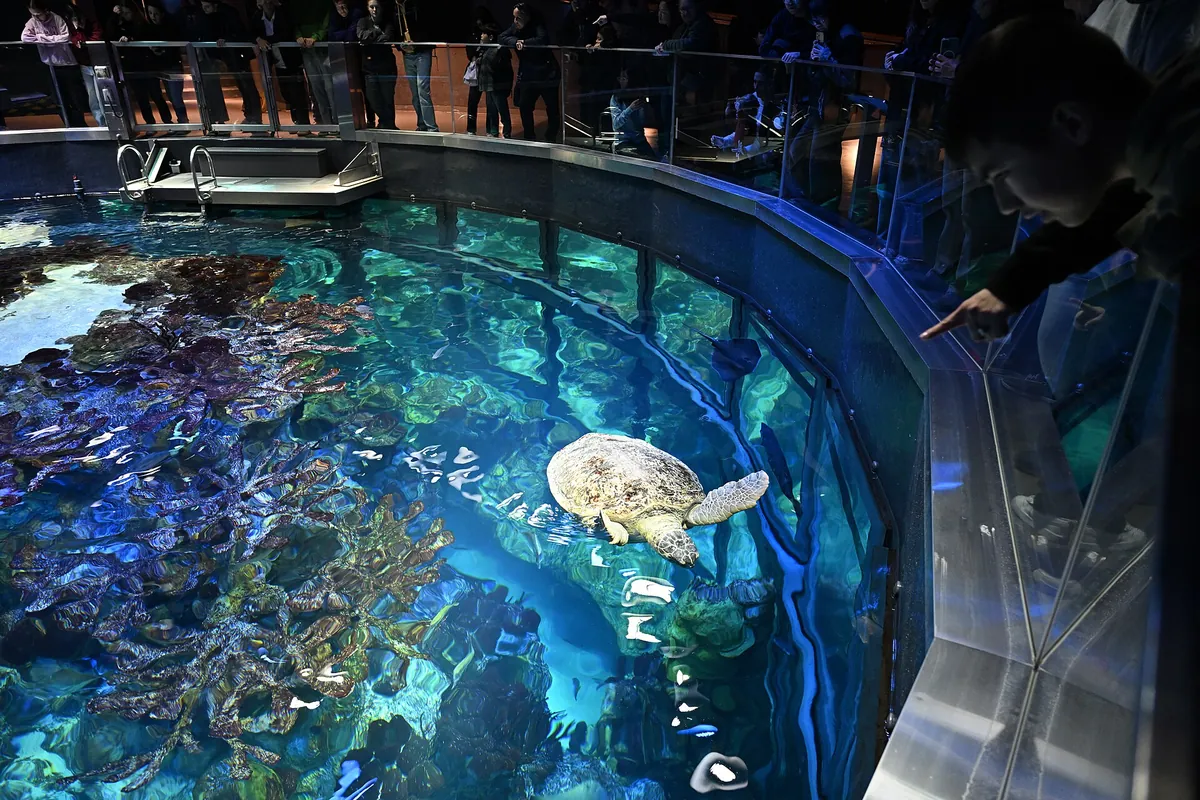 New England Aquarium