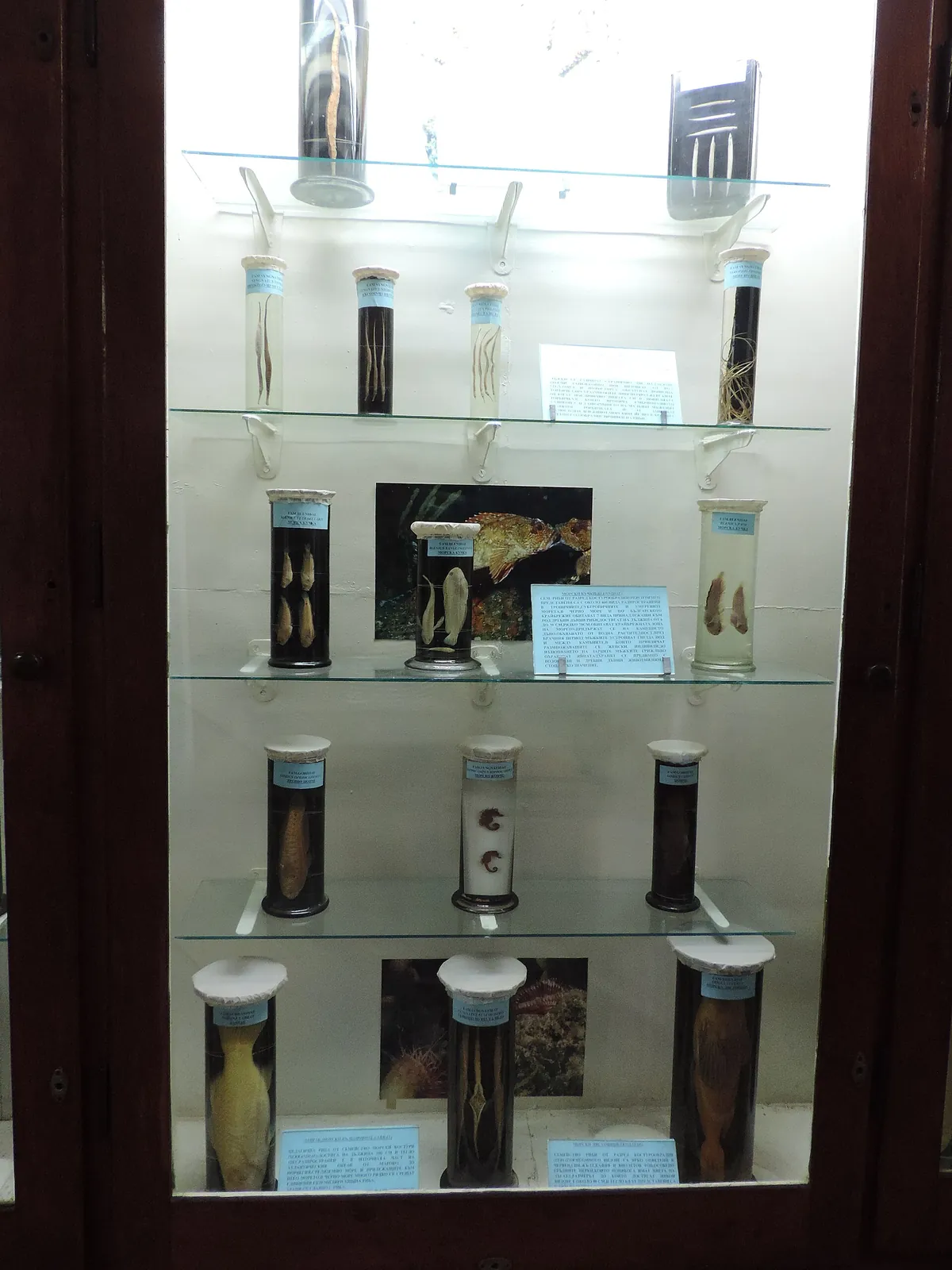 Varna Aquarium