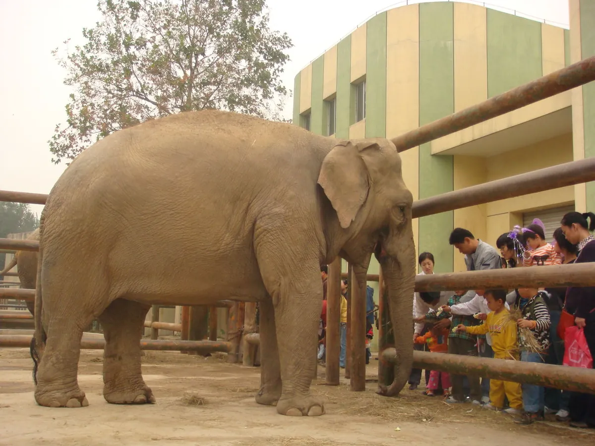 Jinan Zoo