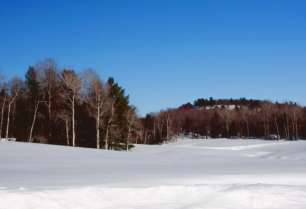 Parc Omega