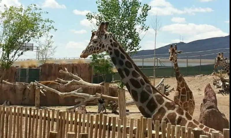 El Paso Zoo