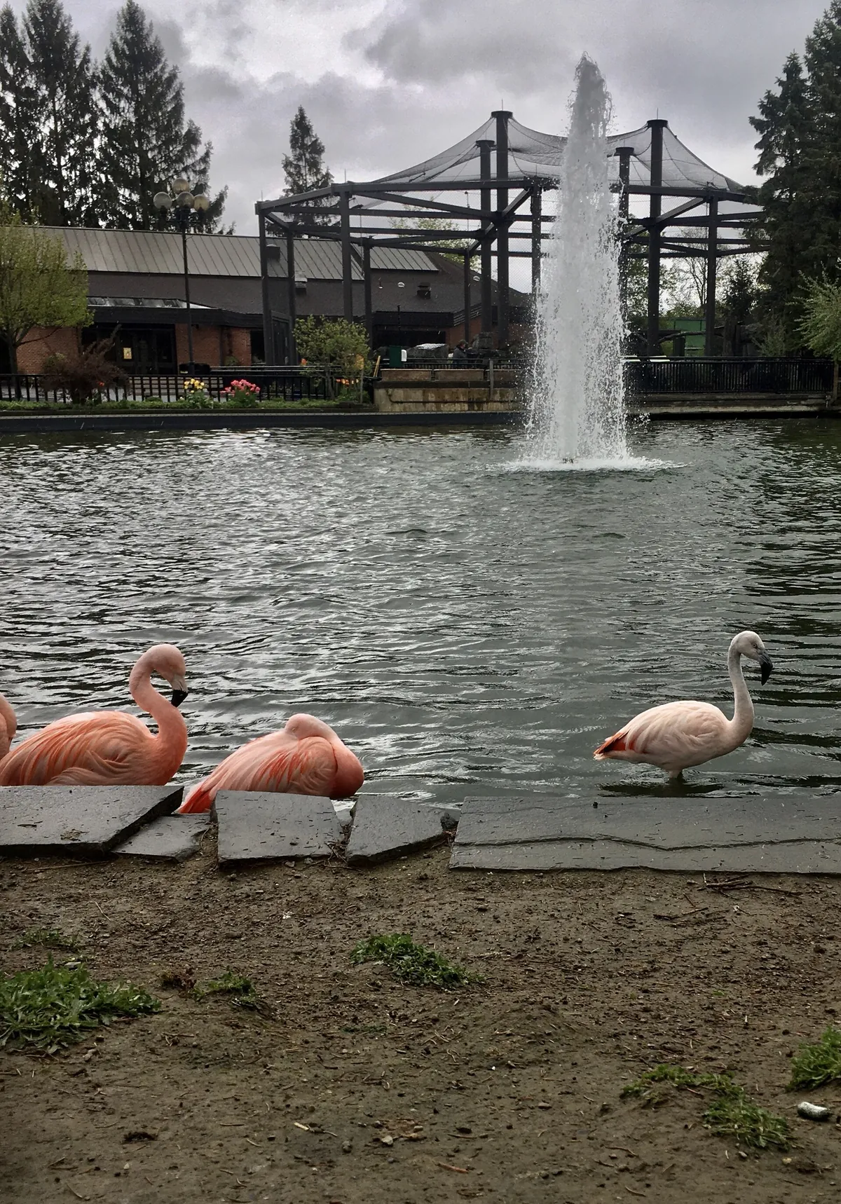 Rosamond Gifford Zoo at Burnet Park