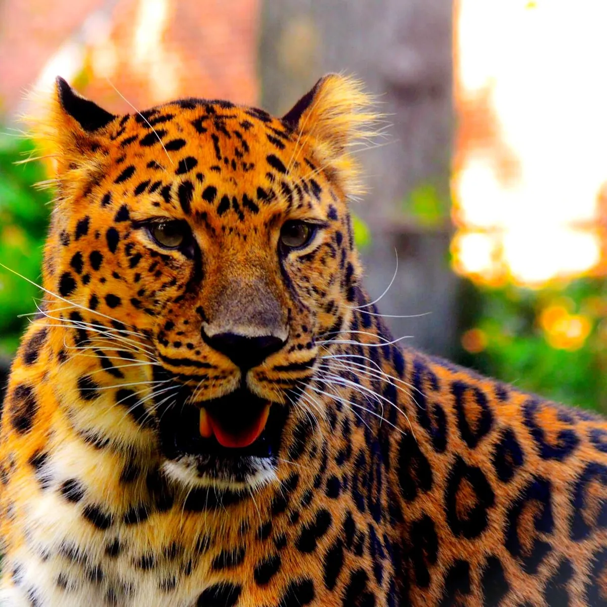 Staten Island Zoo