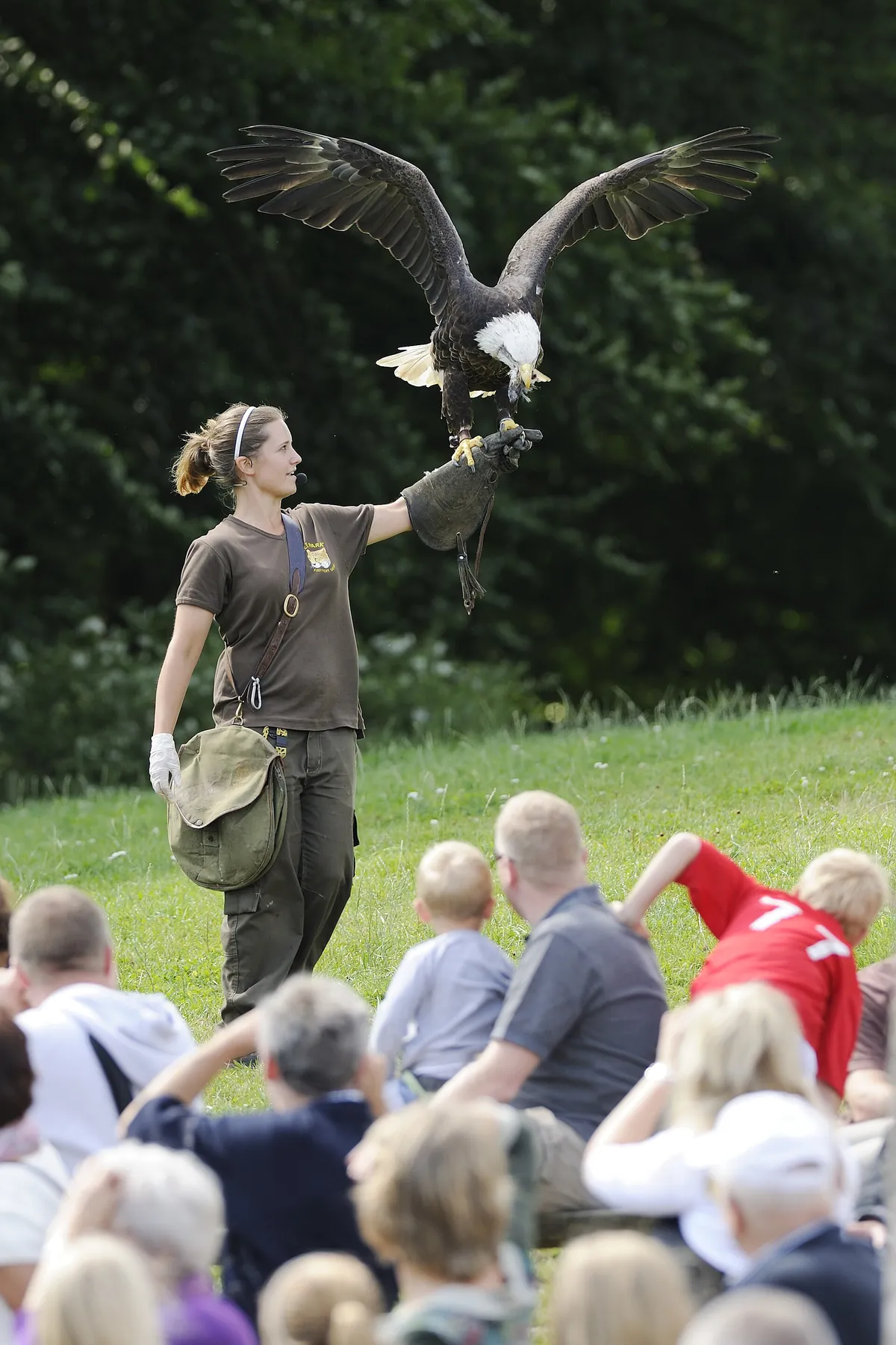 Ree Park – Ebeltoft Safari