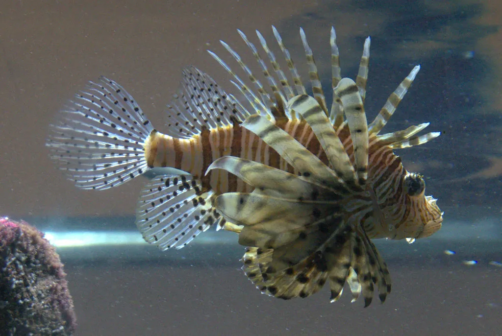 Blue Planet Aquarium