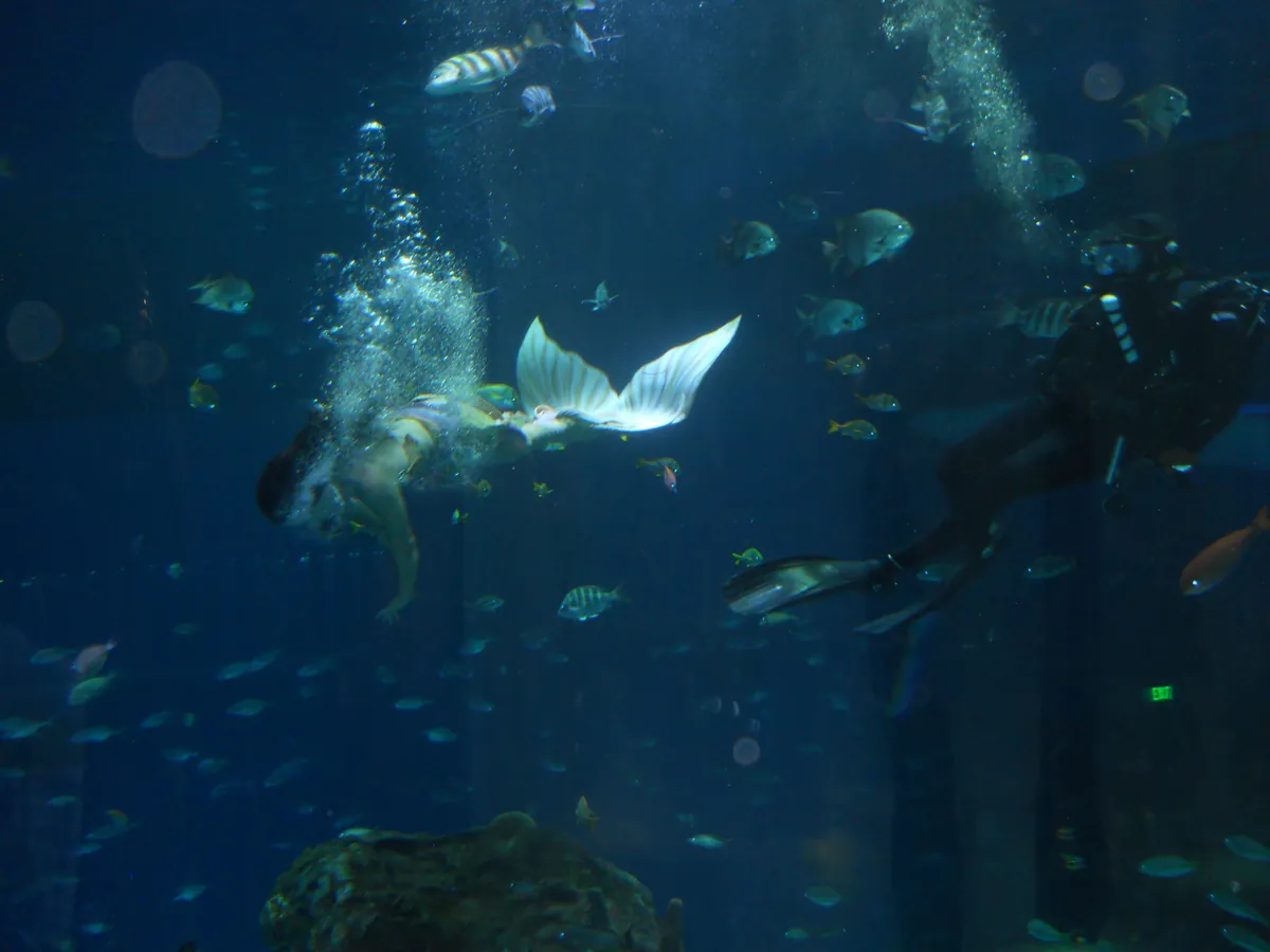 Mississippi Aquarium