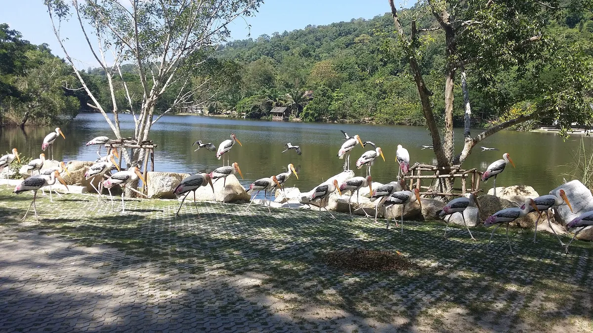 Khao Kheow Open Zoo