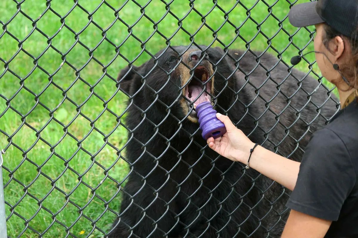Miller Zoo