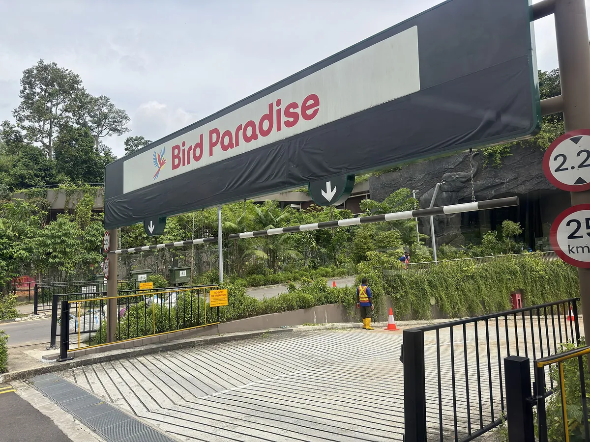 Bird Paradise